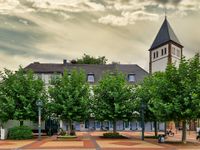 Marktplatz-Platanen